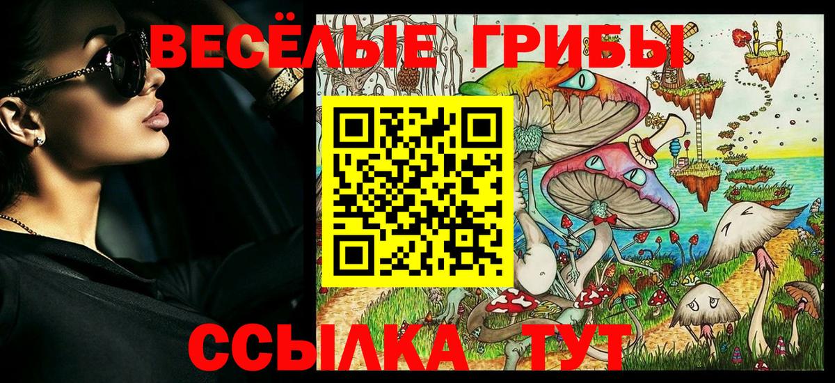 Псилоцибиновые грибы прущие грибы Омск
