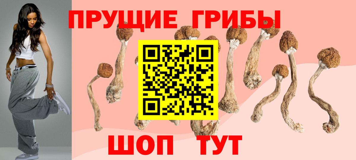 Омск  Псилоцибиновые грибы Magic Shrooms  Вход с VPN  Галлюциногенные грибы Psilocybe 